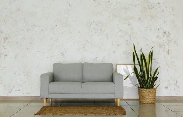 Interior Modern Living Room Stylish Sofa Houseplant — Stock Photo, Image