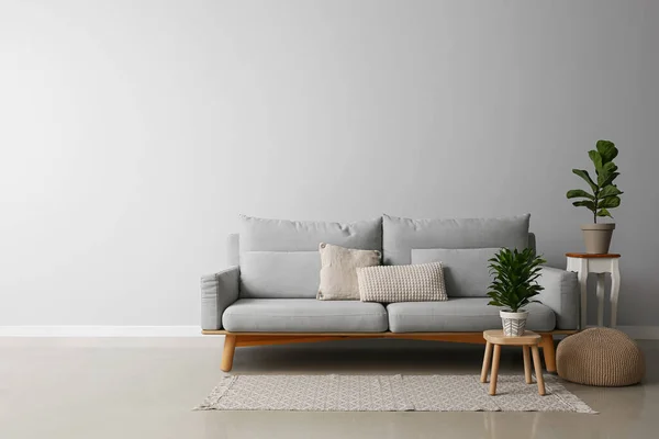 Interior Modern Living Room Stylish Sofa Houseplants — Stock Photo, Image