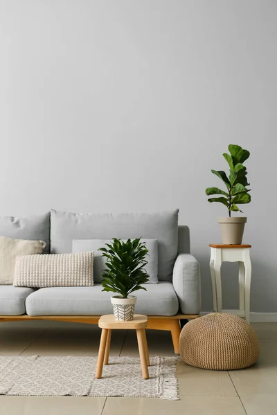 Interior Moderna Sala Estar Con Sofá Elegante Plantas Interior — Foto de Stock