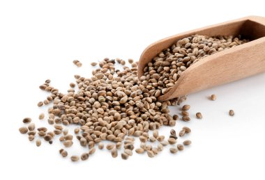 Beyaz arkaplanda kenevir tohumları olan kepçe