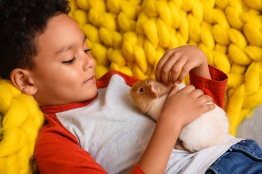 Evdeki kanepede sevimli kobay fareli küçük Afro-Amerikalı çocuk.