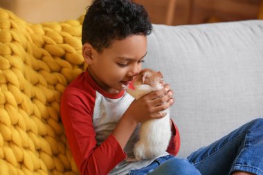 Evdeki kanepede sevimli kobay fareli küçük Afro-Amerikalı çocuk.