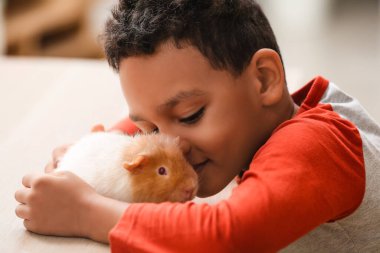 Evinde sevimli kobay faresi olan küçük Afro-Amerikalı çocuk.