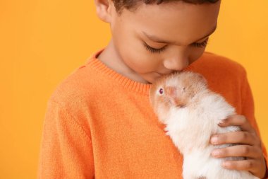 Renkli arka planda sevimli bir kobay faresi olan küçük Afro-Amerikalı çocuk.