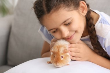 Evde sevimli bir kobay faresi olan küçük bir kız.