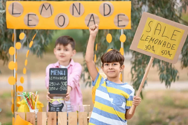 Niedliche Kinder Verkaufen Limonade Park — Stockfoto