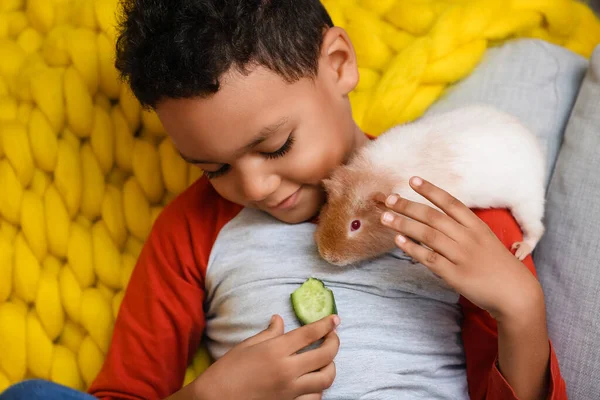 Liten Afroamerikansk Pojke Som Matar Söta Marsvin Hemma — Stockfoto