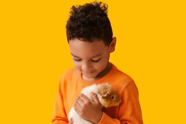 Lilla Afroamerikanska Pojke Med Söt Marsvin Färg Bakgrund — Stockfoto