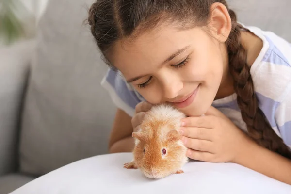 Liten Flicka Med Söt Marsvin Hemma — Stockfoto