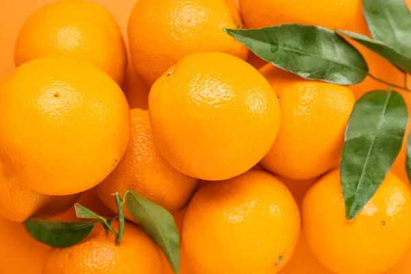 Many Ripe Oranges Leaves Background Closeup — Stock Photo, Image