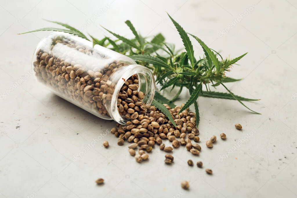 Bottle with hemp seeds on light background