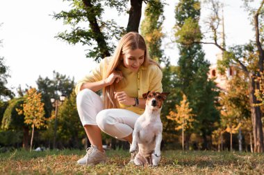 Parkta Jack Russel teriyeri olan genç bir kadın.