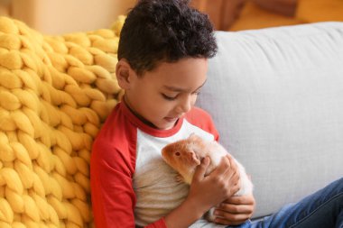 Evdeki kanepede sevimli kobay fareli küçük Afro-Amerikalı çocuk.