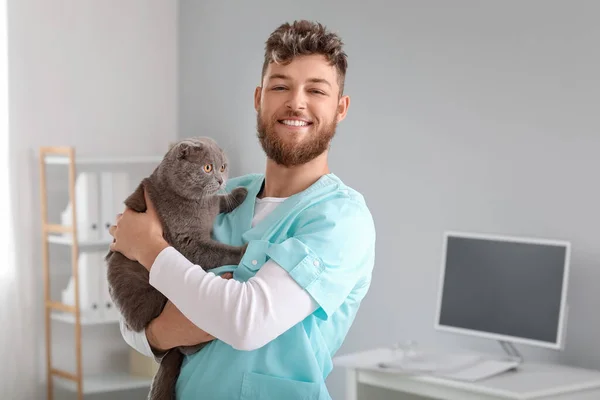 Veterinarian Scottish Fold Cat Clinic — Stock Photo, Image