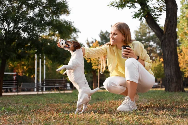 若いです女性遊びますかわいいですジャック ラッセルテリアで公園 — ストック写真