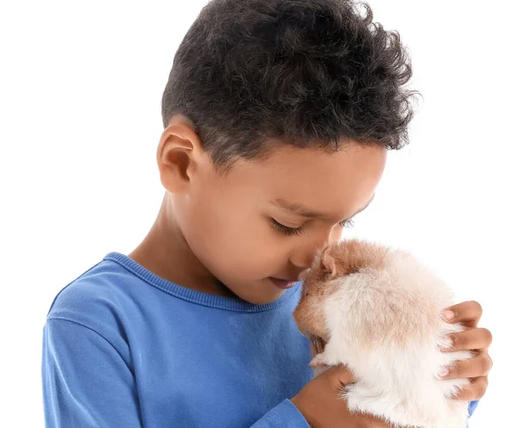 Lilla Afroamerikanska Pojken Med Söt Marsvin Isolerad Vitt — Stockfoto