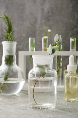 Grunge arka planında doğal yağlı laboratuvar vitrinleri.