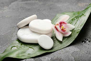Orkide çiçekli spa taşları ve koyu arkaplanda tropik yaprak