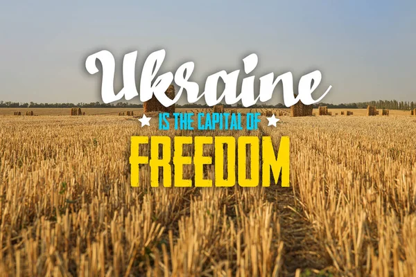 Güzel Ukrayna Buğday Tarlaları Olan Bir Manzara Ukrayna Özgürlüğün Başkentidir — Stok fotoğraf
