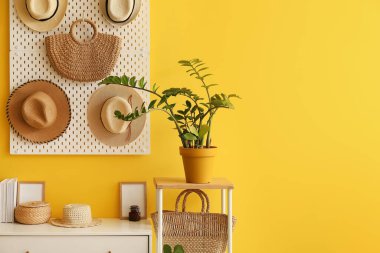 Raflama ünitesi, çekmece sandığı, sapkalı tahta ve sarı duvarda asılı çanta.