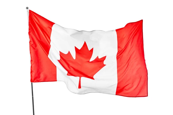 Acenando Bandeira Canadá Fundo Branco — Fotografia de Stock