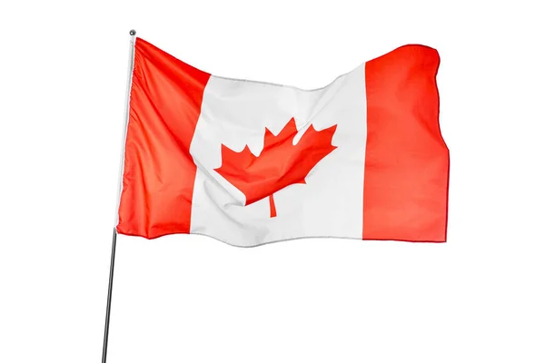 白い背景の上のカナダの旗を振ってください — ストック写真