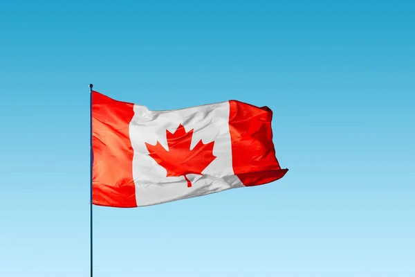 Acenando Bandeira Canadá Contra Céu Azul — Fotografia de Stock