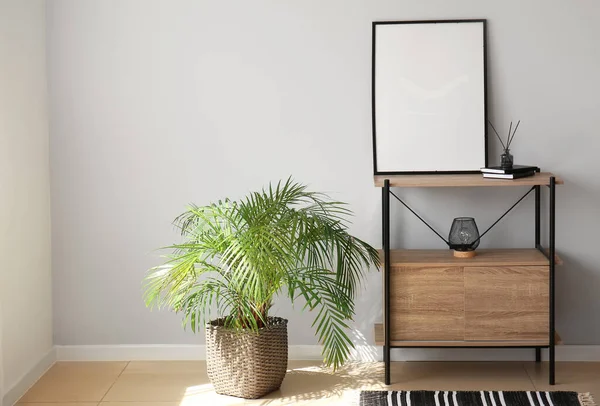 Interieur Van Lichte Kamer Met Plankkast Blanco Frame Kamerplant — Stockfoto