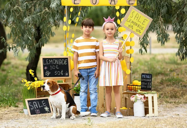 Cute Little Children Dog Lemonade Stand Park — Stock Photo, Image