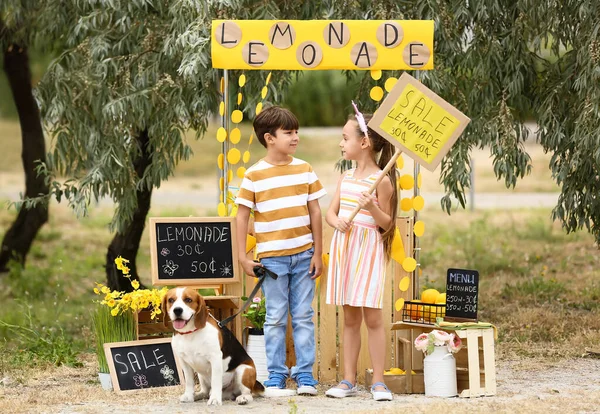 Cute Little Children Dog Lemonade Stand Park — Stock Photo, Image