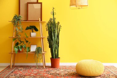 Çerçeveli raf ünitesi, ev bitkileri ve sarı duvarın yanında antika halı.