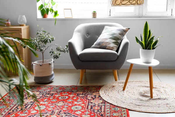 Cozy Armchair Table Houseplants Carpet Living Room — Stock Photo, Image