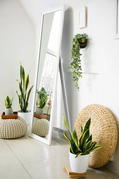 Interior Light Living Room Mirror Poufs Houseplants — Stock Photo, Image