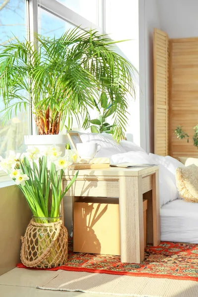 Interior Cozy Bedroom Houseplants Flowers Vase — Stock Photo, Image