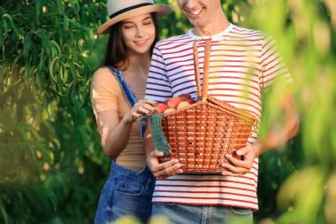Bahçede sepet ve şeftali tutan genç çift.