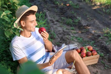 Bahçede tablet bilgisayar kullanan kırmızı elmalı genç adam.