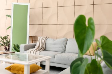 Oturma odasındaki renkli duvarın yanında rahat bir kanepe, ayna ve bitkiler.