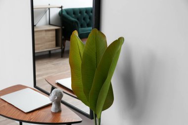 Odada dizüstü bilgisayarı, aynası ve avuç içi yaprakları olan bir masa.