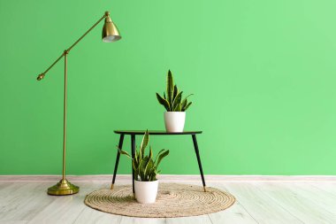 Masa, ev bitkisi ve yer lambası yeşil duvarın yanında.