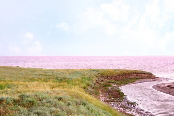 Beautiful View Coast Pink Lake — Stock Photo, Image