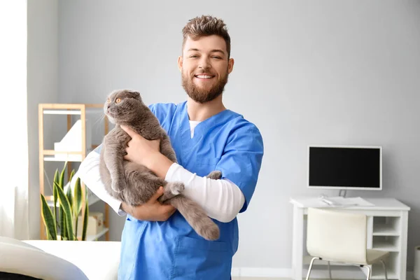 Veterinario Masculino Con Gato Pliegue Escocés Clínica — Foto de Stock