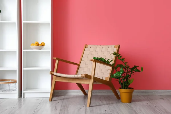 Modern Armchair Houseplant Color Wall Room — Stock Photo, Image