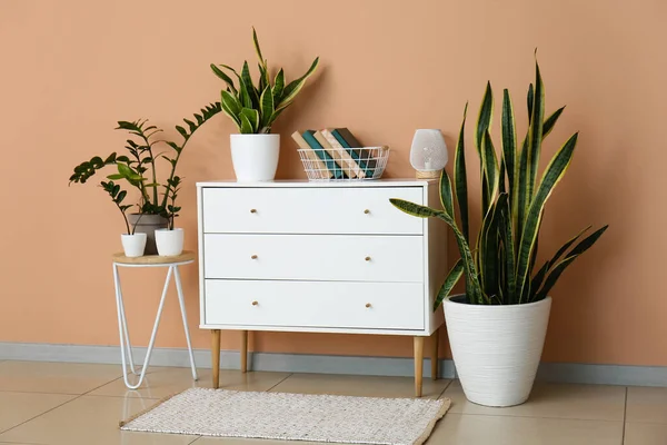Chest Drawers Books Table Houseplants Beige Wall — Stock Photo, Image