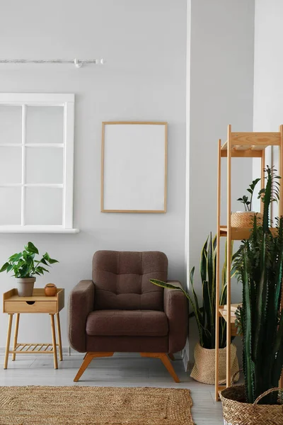 Interior Light Living Room Armchair Shelving Unit Houseplants — Stock Photo, Image