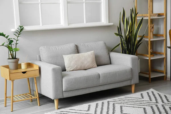 Interior Light Living Room Grey Sofa Table Houseplants — Stock Photo, Image