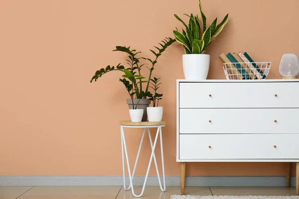 Chest Drawers Books Table Houseplants Beige Wall — Stock Photo, Image