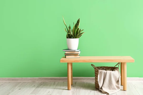Stack Books Houseplant Wooden Table Basket Color Wall Room — Stock Photo, Image