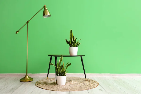 Table Houseplant Floor Lamp Green Wall Room — Stock Photo, Image
