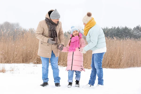 Menina Feliz Com Seus Avós Dia Inverno Nevado — Fotografia de Stock