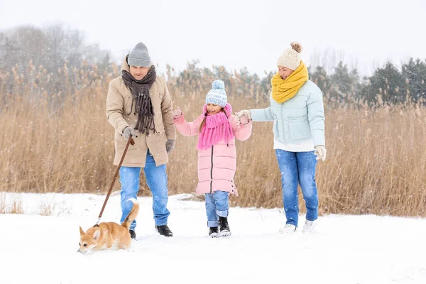 Menina Feliz Seus Avós Andando Com Cão Corgi Dia Inverno — Fotografia de Stock